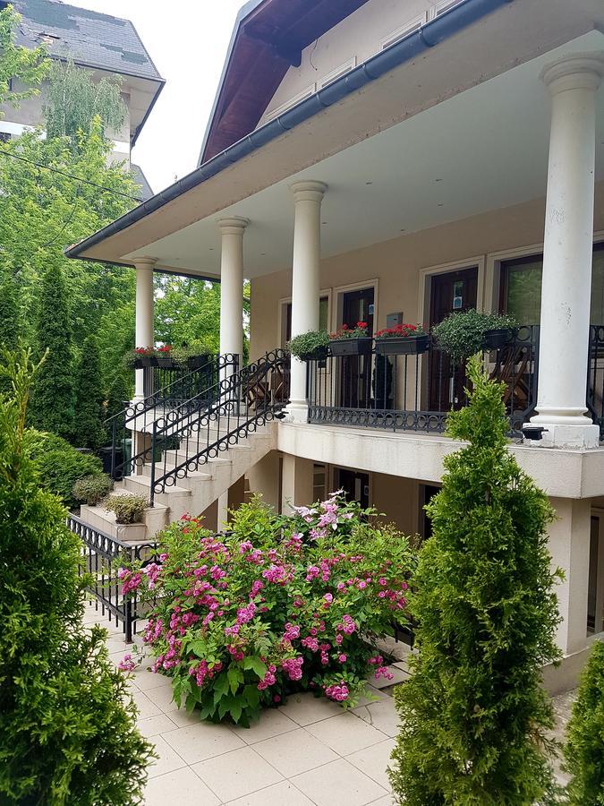 Zupan Apartmani Sokobanja Kültér fotó