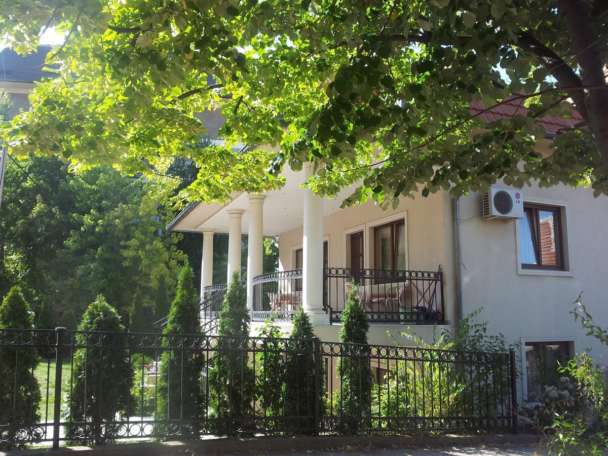 Zupan Apartmani Sokobanja Kültér fotó