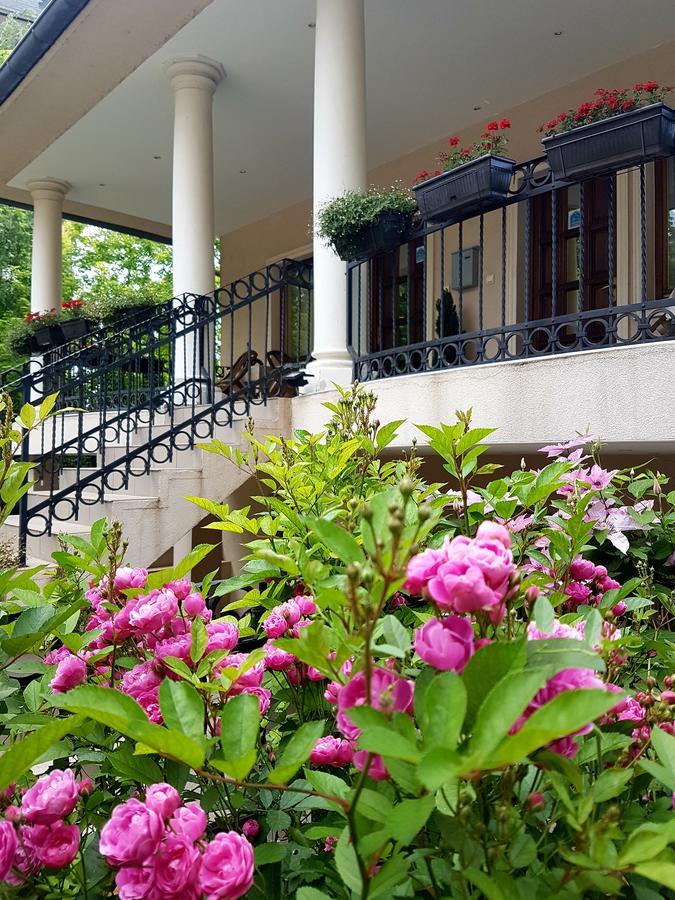 Zupan Apartmani Sokobanja Kültér fotó