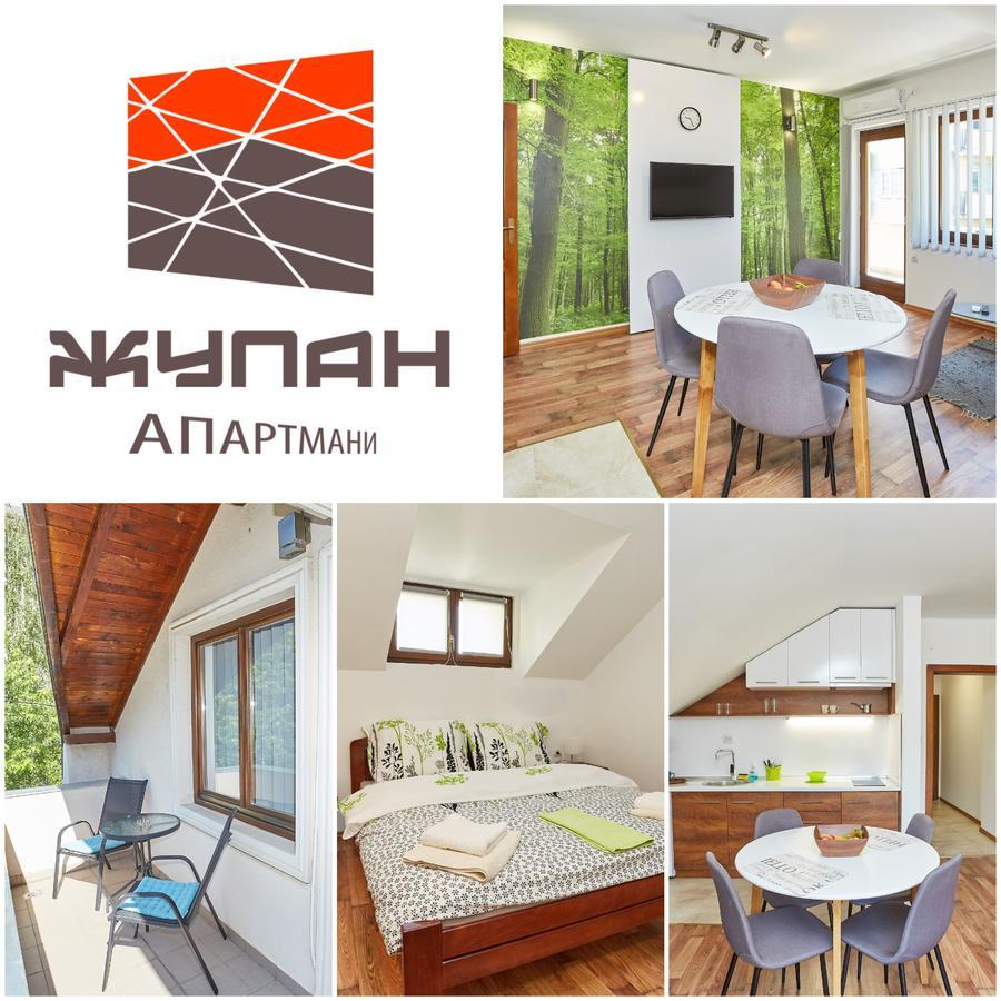 Zupan Apartmani Sokobanja Kültér fotó